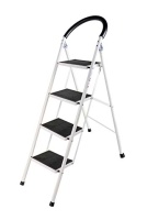 STEEL LADDER