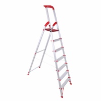 LADDER