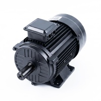 COMPRESSOR MOTOR