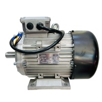 COMPRESSOR MOTOR