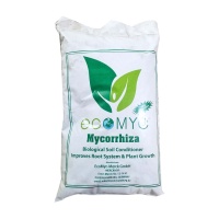 MYCORRHIZA