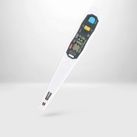 DIGITAL THERMOMETER