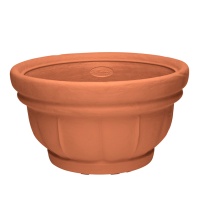 FLOWER POT