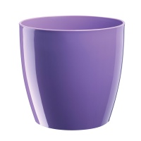 FLOWER POT