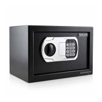 SECURITY SAFE